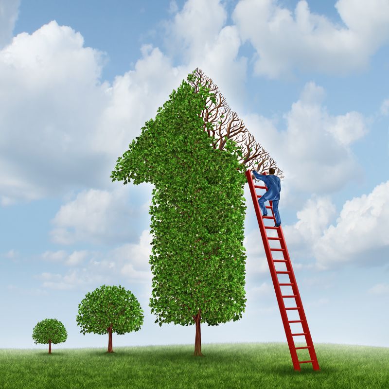 5сайт для вступу